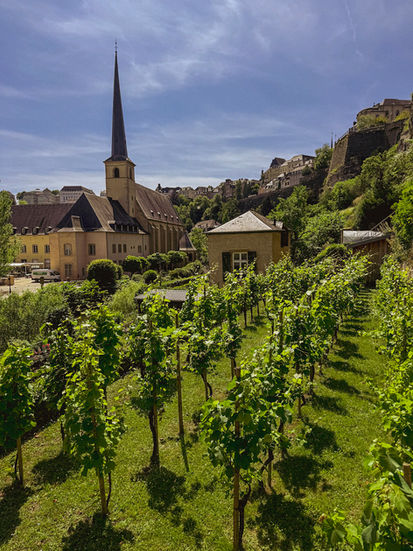 Abbey views rise from a vineyard in luxembourg