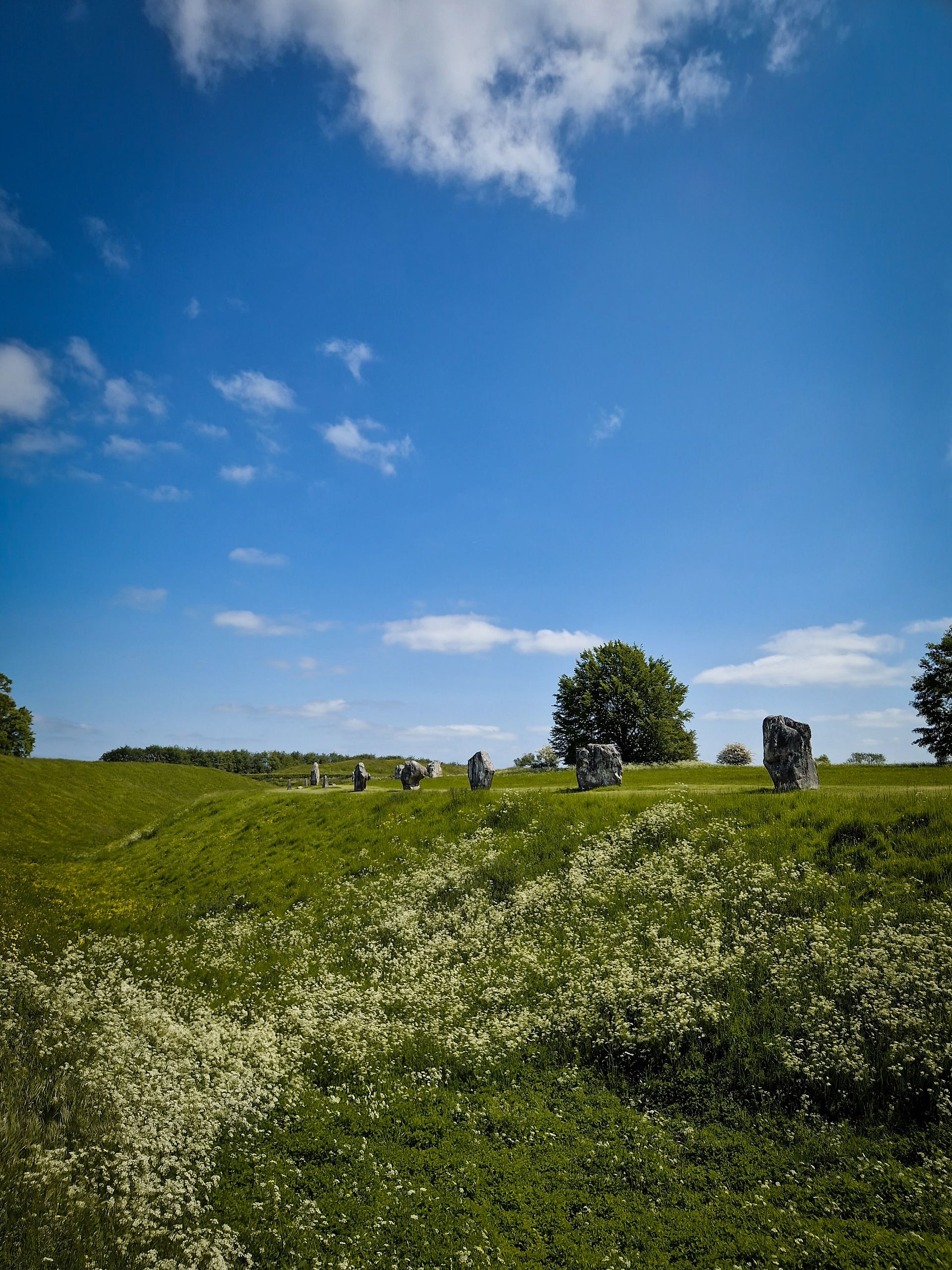 A grassy bank with standing stones above it