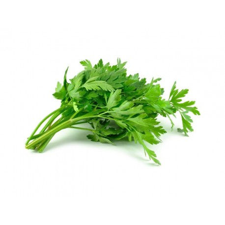 Perejil liso orgánico