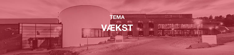 Syddjurskunstnere - 20 år med VÆKST