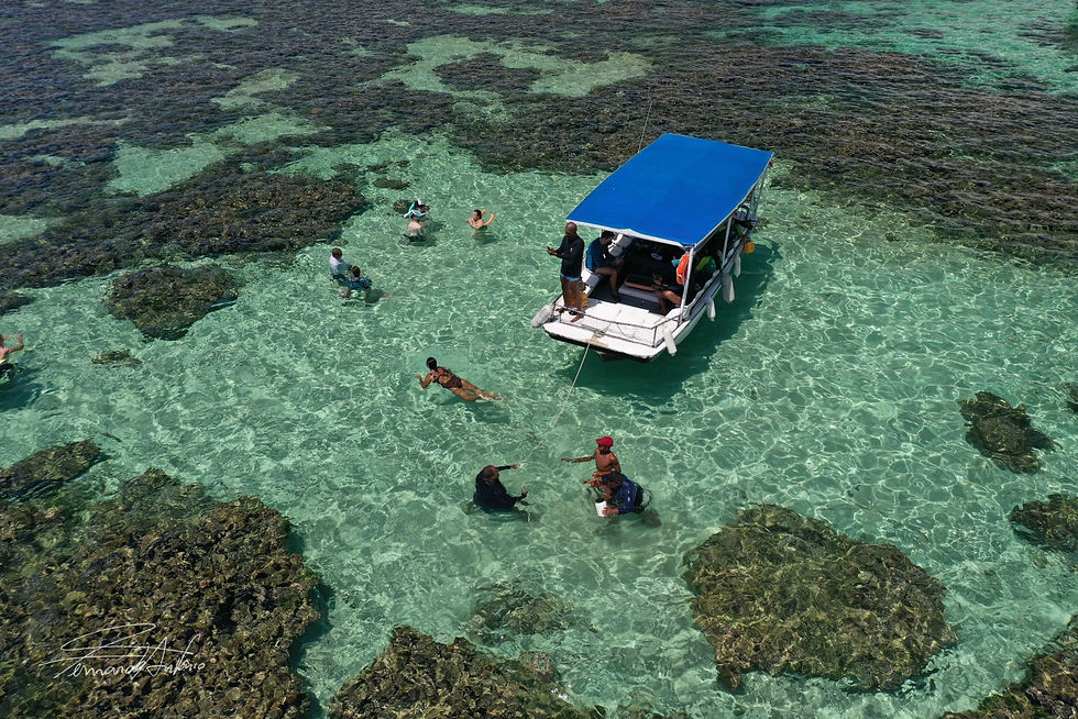 1044542664625864da1ba889.20211898