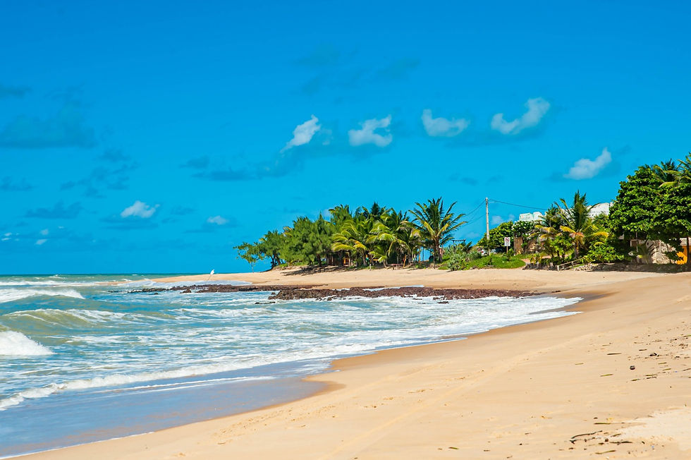 1951204127667c5c3ba6f864.09533845