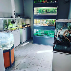 BTSA Technico commercial.jpg