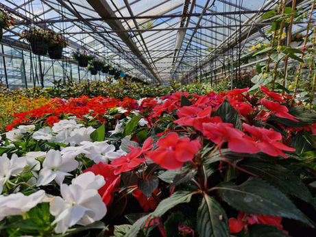 🔎Vendeur/euse saisonnier