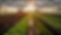 Formation CFPPA des Fandres responsable d'entreprise agricole