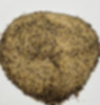 A flavorful vegetable seasoning blend crafted to enhance the natural sweetness of corn, roasted veggies, and more.