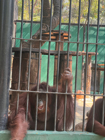 Marine park & Safari World Photoshoot