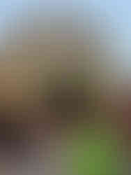 Icherisheher (Old City) & Me