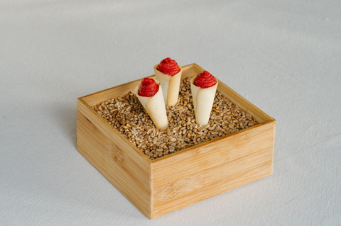 wedding catering example finger food