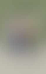 Lola et Luc - Chapitre 2 - Bilitis, l'infirmière.