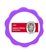 2 logo.png