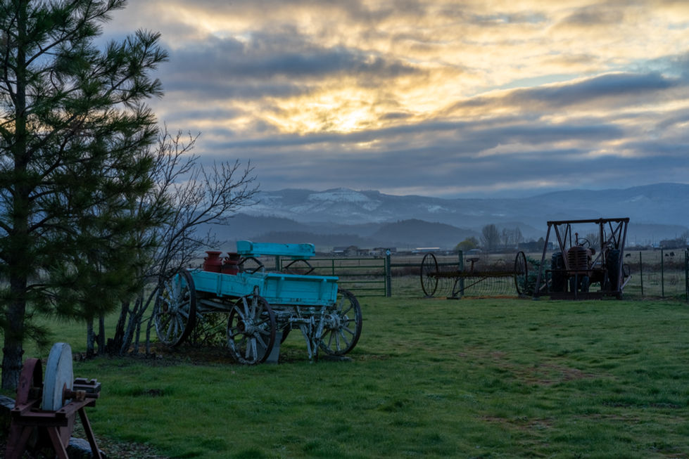 a blue wagon sits in a grassy field with mountains in the background