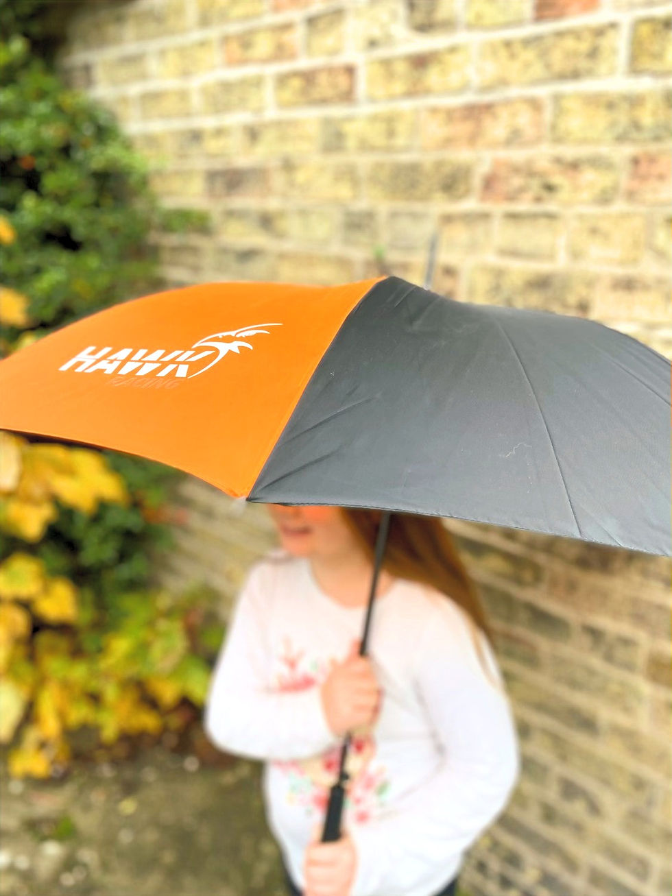 Thumbnail: CUSTOM HAWK RACING UMBRELLA