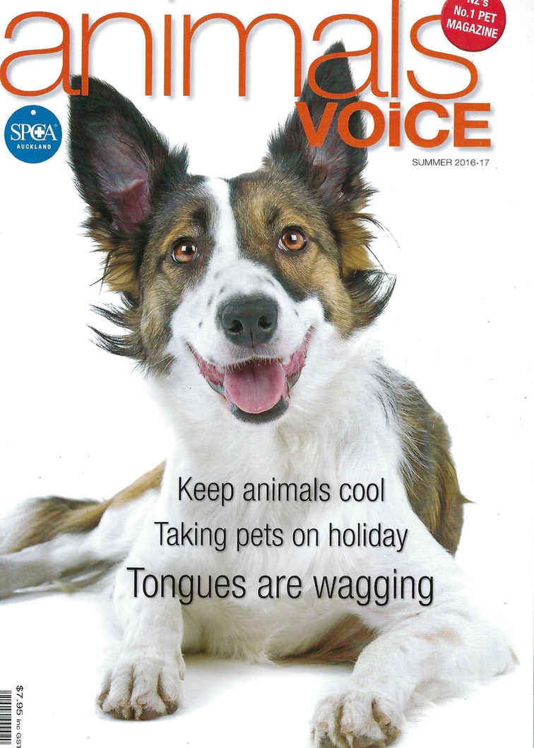 Animals Voice