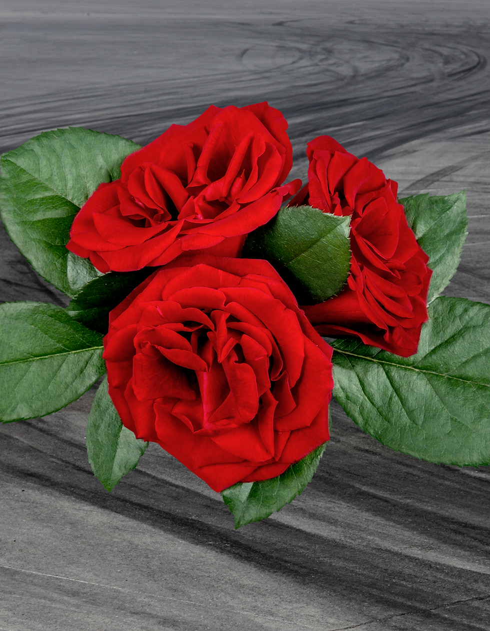 Thumbnail: RECITAL PRESALE FLOWERS