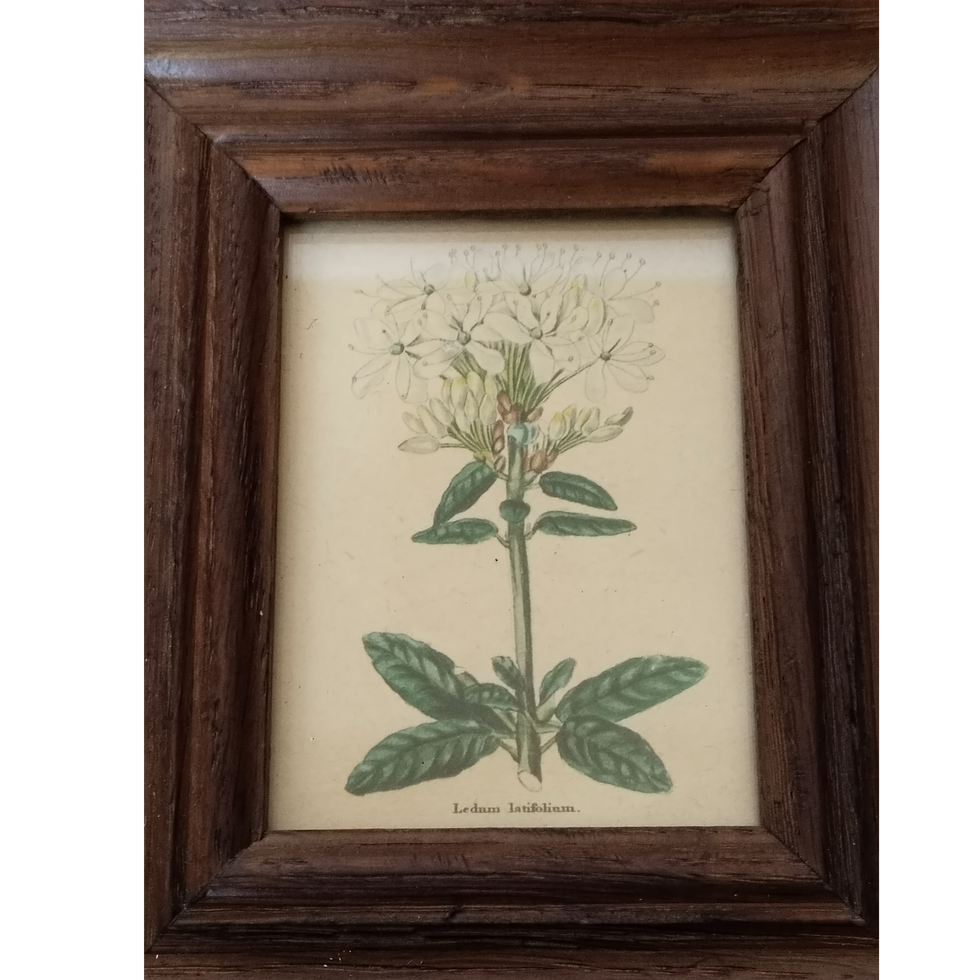 Thumbnail: Detailansicht einer handgemalten floralen Miniatur auf Holz