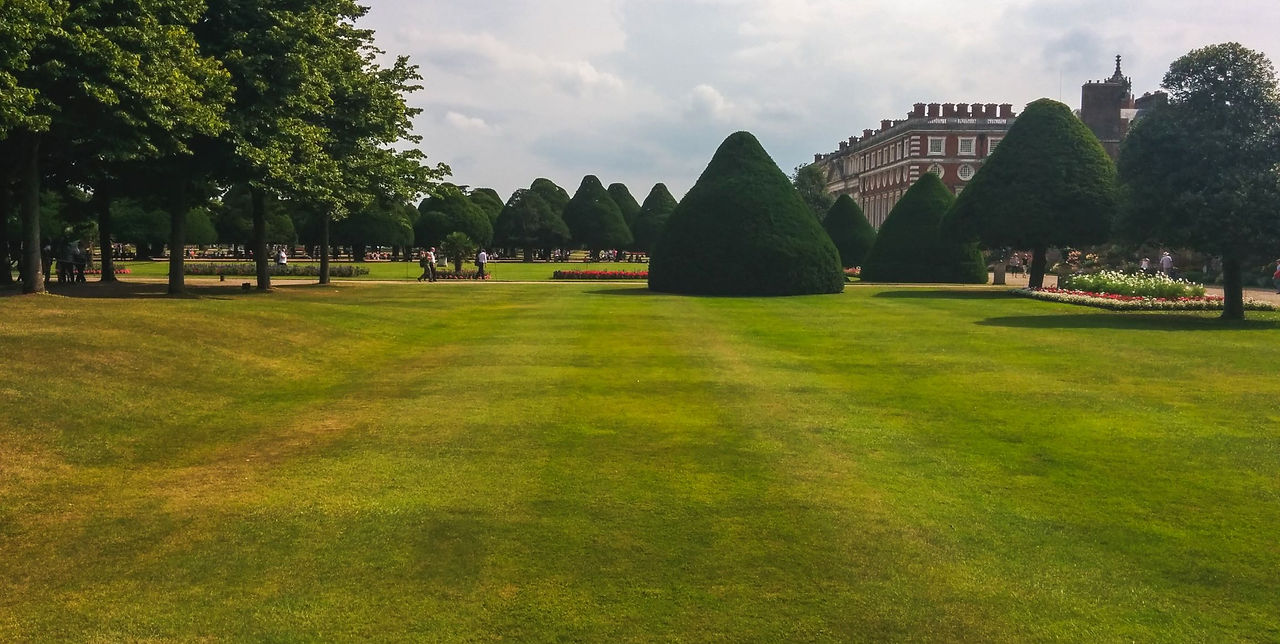 Commercial garden services glasgow.jpg