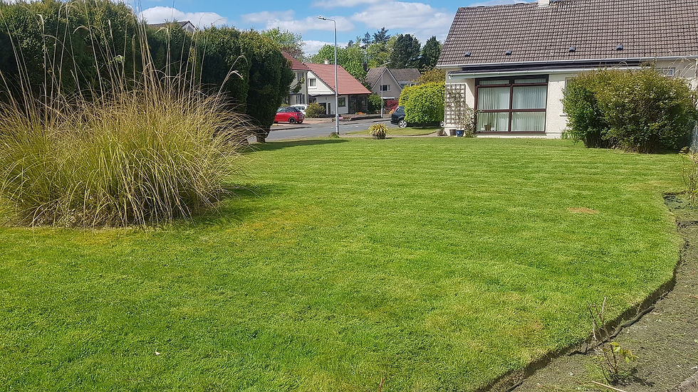 Grass cutting glasgow