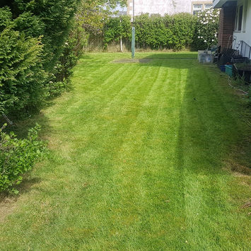 Grass Cutting Glasgow