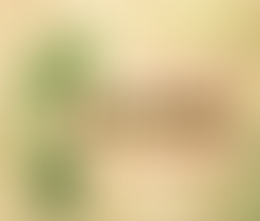 What of the Ground we stand on?