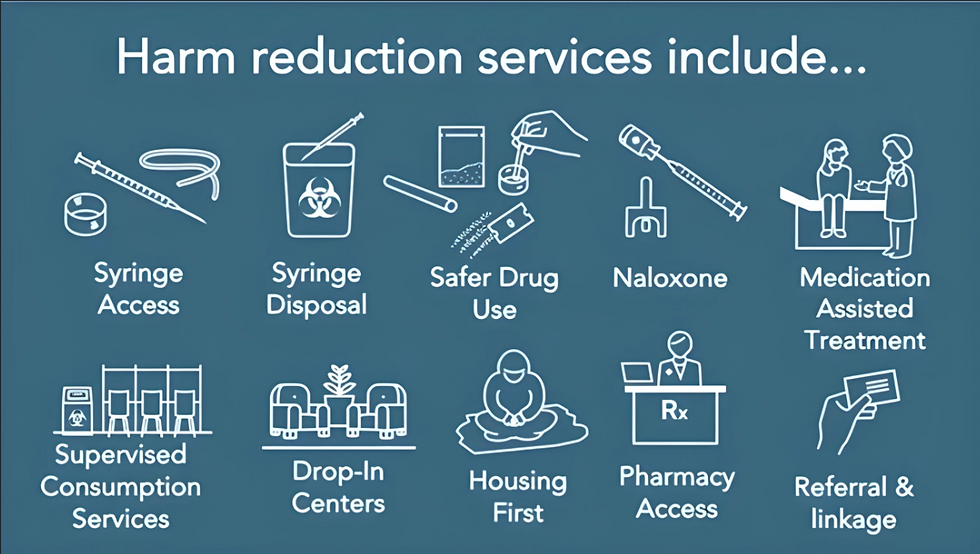 Harm reduction services icons: syringe access, disposal, safer drug use, naloxone, medication treatment, housing, and more on blue background.