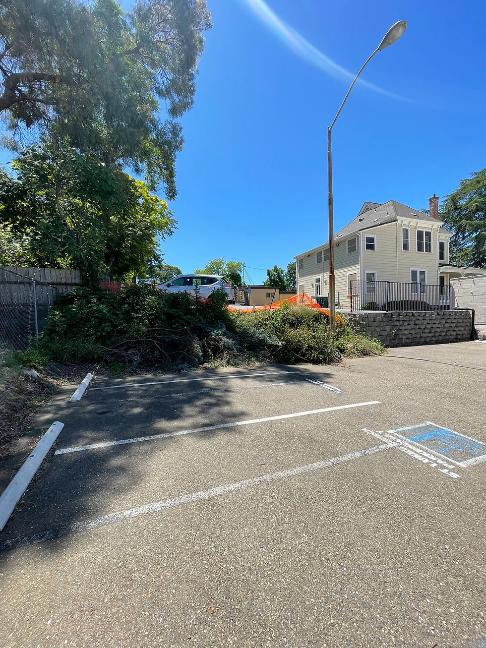 Retaining Wall/Fence