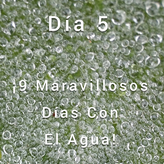 Dia 5.jpeg