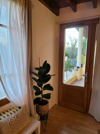 Ficus dans un pot près d'une porte ouvrant sur une terrasse