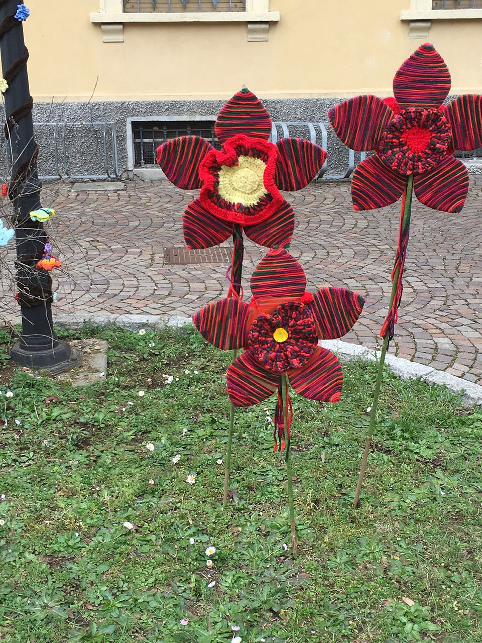 fiori enormi