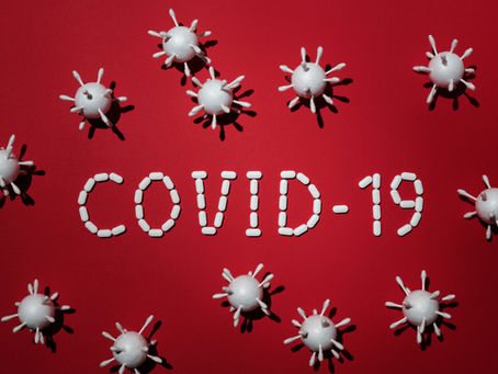 How we survived the pandemic apocalypse.