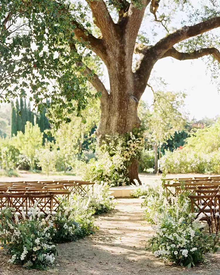 wedding-ceremonies-beneath-trees-ryan-ray-0619-64ac4d70903248248288b6472f5789f6.webp