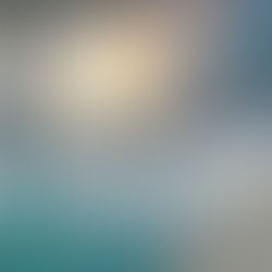 For those seeking a sanctuary from the digital noise of the 21st century, the Alps offer the ultimate canvas for restoration. The thermal spas in the region, along with the majestic Alpine views and clean mountain air, offer the full holistic wellbeing package.