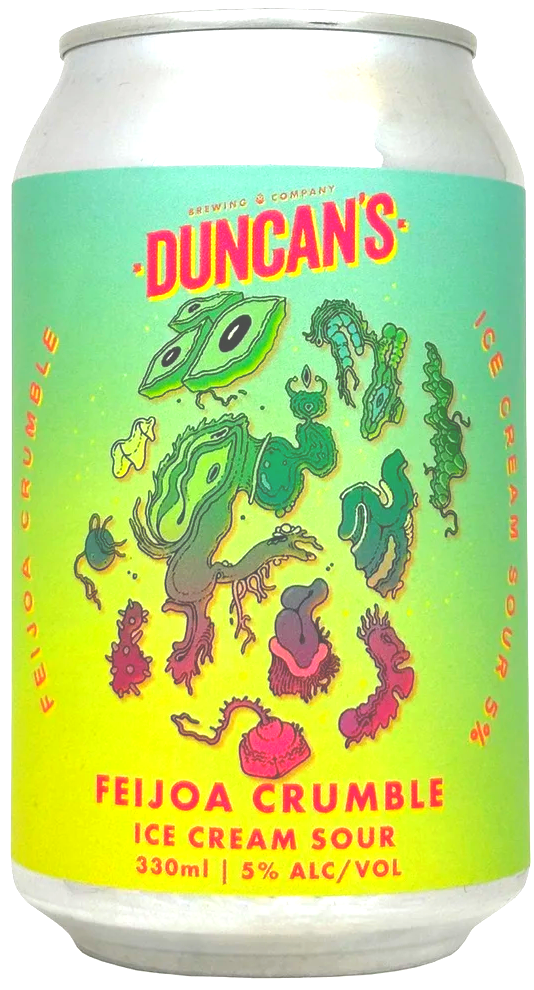 Duncan's FEIJOA CRUMBLE Ice cream sour 5% 24 x 330ml