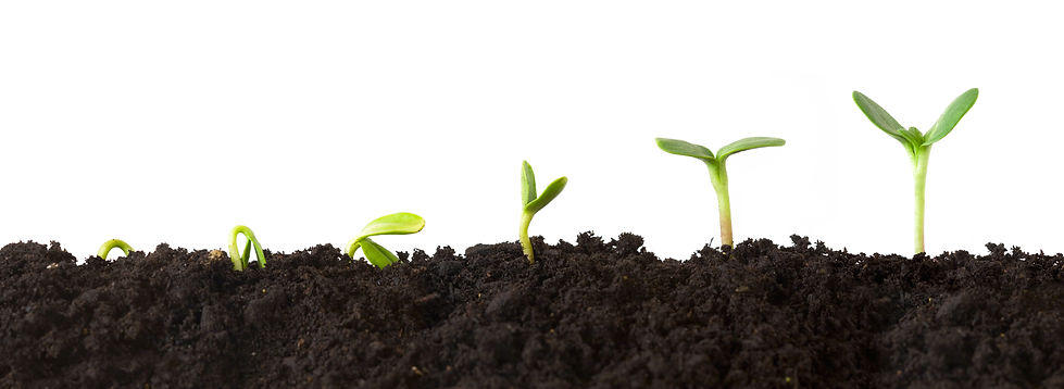 AdobeStock_94039131growth.jpeg