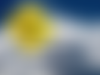 THE STUPIDITY INDUSTRIAL COMPLEX