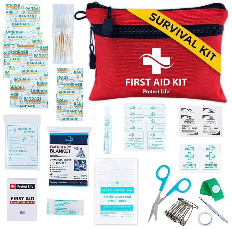 Protect Life Survival First Aid Kit for Home/Business, Camping Survival Kits