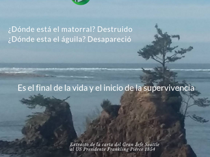 #DiaDeLaTierra#2019 #EarthDay2019