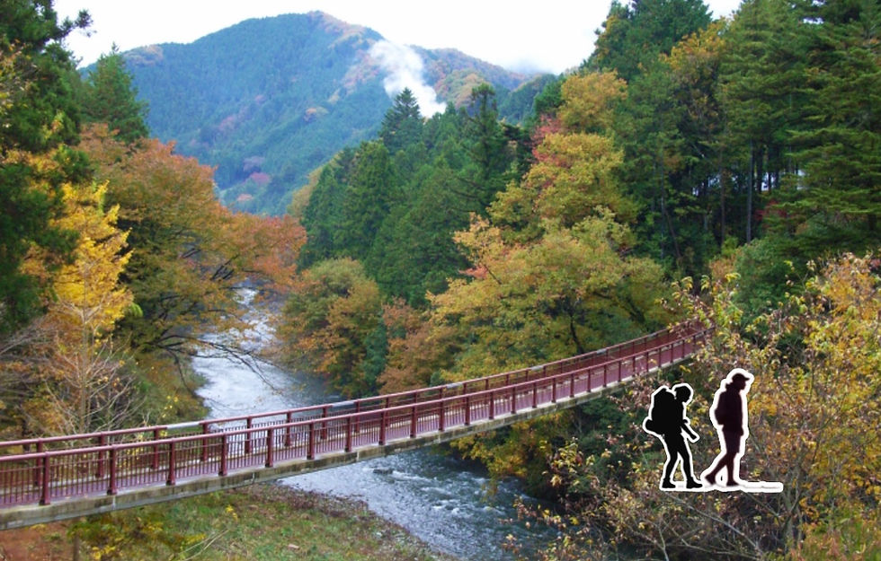 🥾☘️Akigawa First Summer Hike🏞️🌳