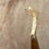 Thumbnail: Hunting Whip - 'Larker'