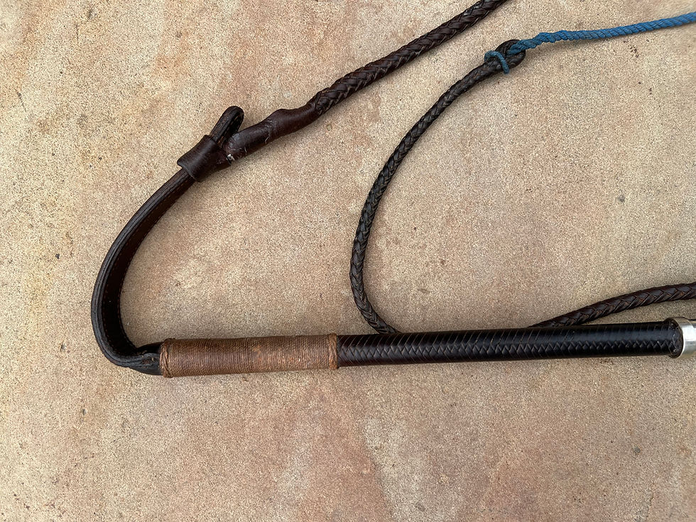 Thumbnail: Hunting Whip - Swaine 1971 - ‘GORG’