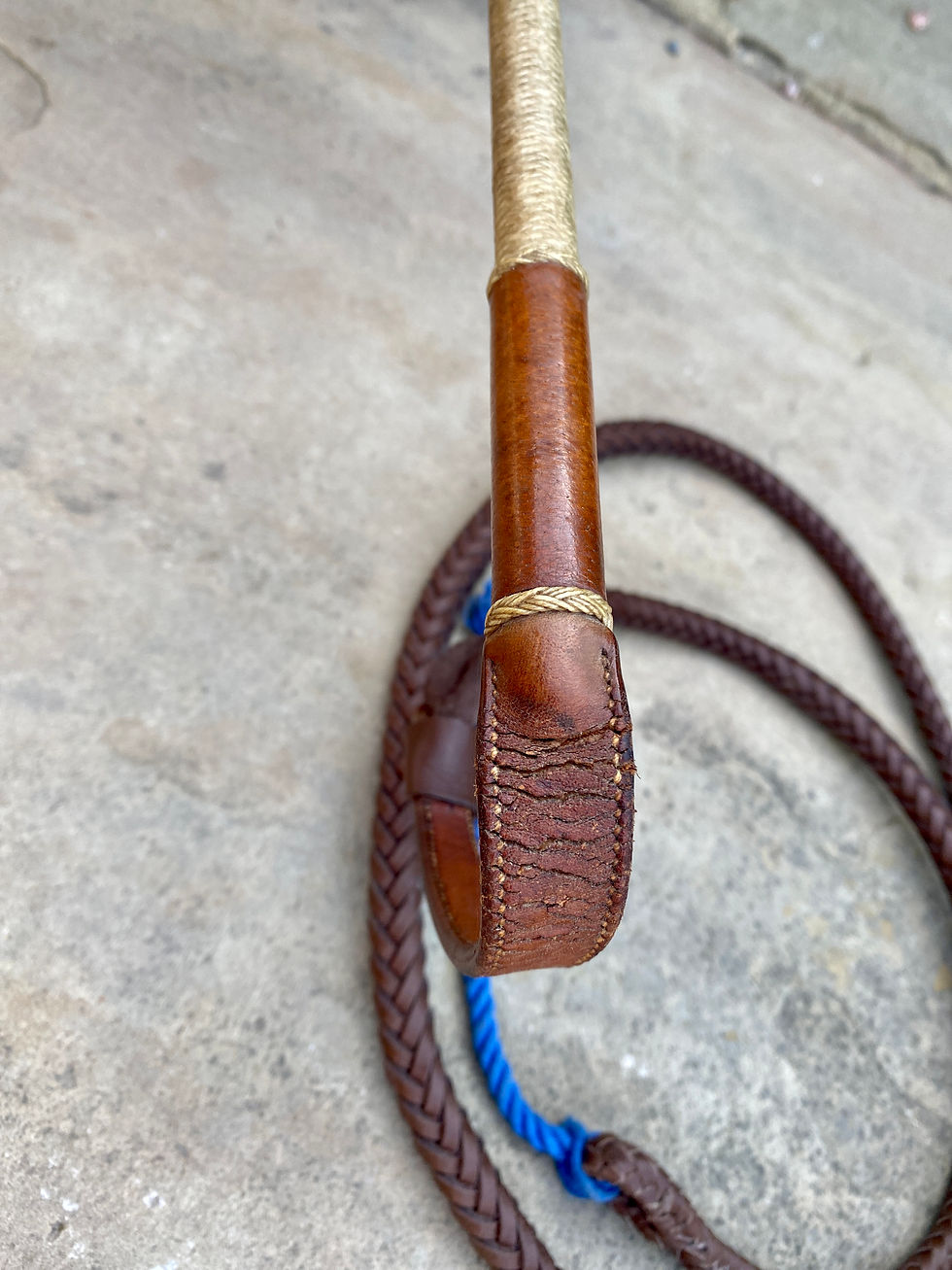 Thumbnail: Hunting Whip - Merry St James 1918 - 'Rapture'