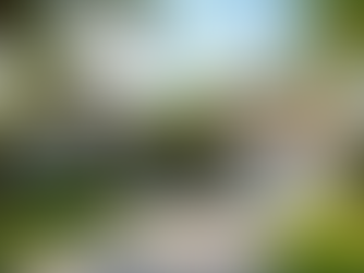 Expert Tips for First-Time Homebuyer Tips in Florida