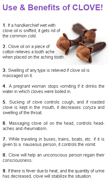 CLOVE2.gif
