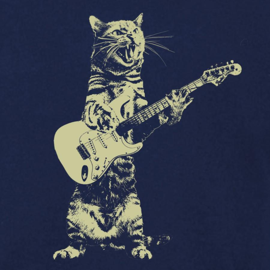 Thumbnail: Kids cat playing guitar