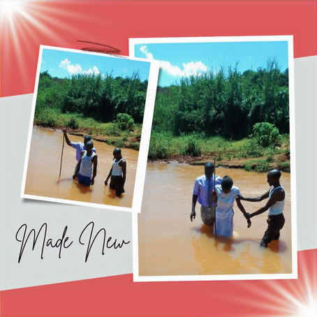 Julius and a New Church Plant