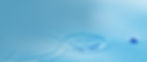 banner.jpg