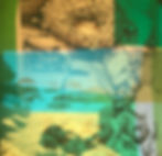 installation seascape anemeny_edited.jpg