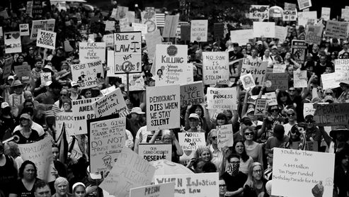 A picture of the "No Kings" protest rally.