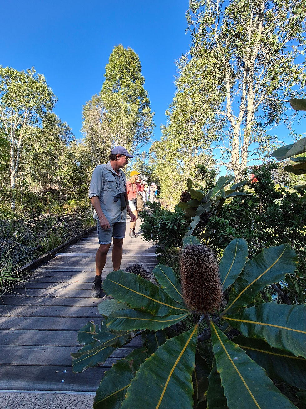 Bird Walk with Dr Adrian Gallagher