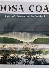 Noosa Coast.jpg